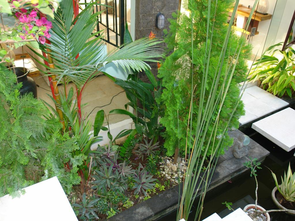Villa Lebah أونغاسان المظهر الخارجي الصورة